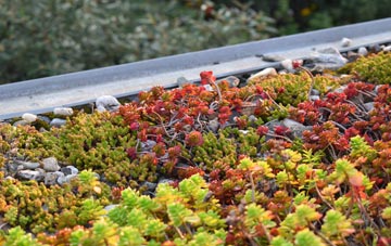the cost of Heath And Reach green roof installation