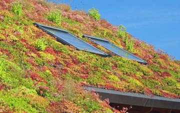 Heath And Reach living roof systems