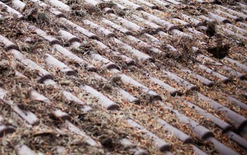 Heath And Reach roof cleaning companies