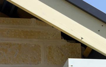 soffit repair Heath And Reach