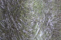 Heath And Reach fibreglass roof work